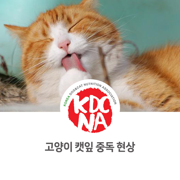  [집사가 알아야할 정보] 고양이의 캣잎 중독에 대해 알아보자_520