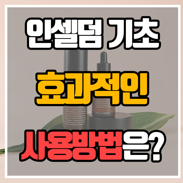  인셀덤 - 기초 5종 효과적인 사용방법은?