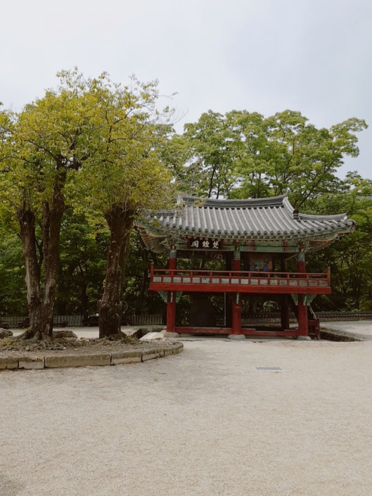  포항 보경사군립공원(내연산) 강구갔다가 아쉬워서 들렸어요애들이랑 등산했어요.