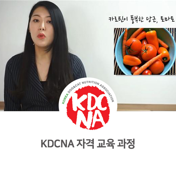  [강아지 고양이 펫영양사 양성] 한국반려동물영양협회 자격증 교육 과정 소개_533