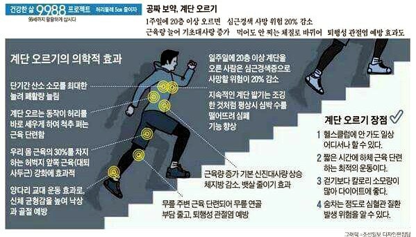 계단 오르기의 운동효과 (경험담) : 네이버 블로그 계단 오르기의 운동효과 (경험담) : 네이버 블로그