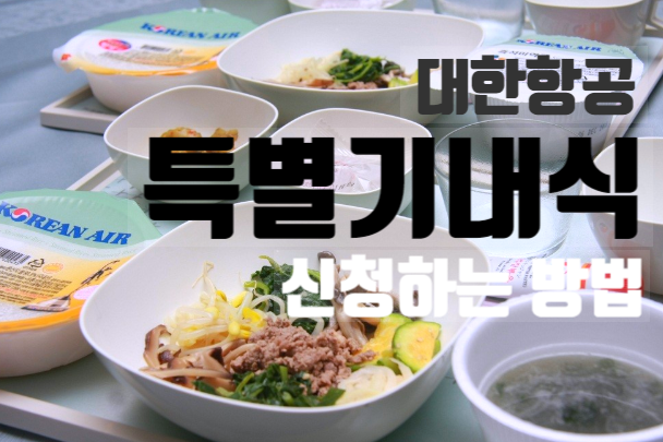 외국들어가기 #4 -  특별기내식 신청하기(feat.대한항공)