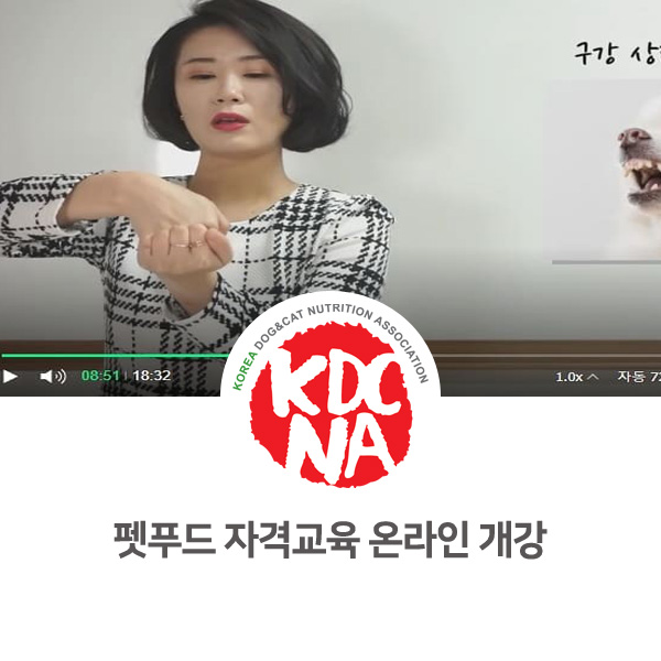  [반려동물영양전문강사] 강아지 고양이 펫푸드 자격증 온라인 강의 개강_525