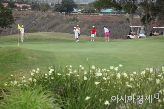 코로나19 재확산에 레저·골프보험 '전전긍긍' 코로나19 재확산에 레저·골프보험 '전전긍긍'