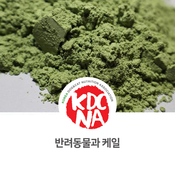  [강아지 고양이 식재료 정보] 반려동물 케일 먹어도 되나요?_529