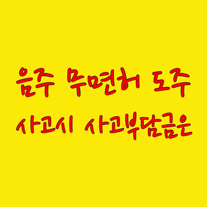  음주 무면허 도주사고시 사고부담금은