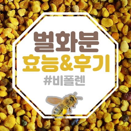  벌화분(비폴렌) 효능과 후기