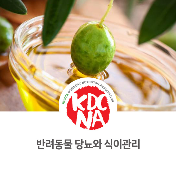  [반려동물 질병 영양 정보] 강아지 고양이 당뇨병과 식이관리_522