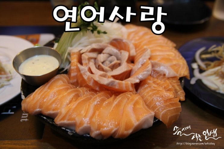  [종로연어 맛집] 종로무한리필 연어사랑