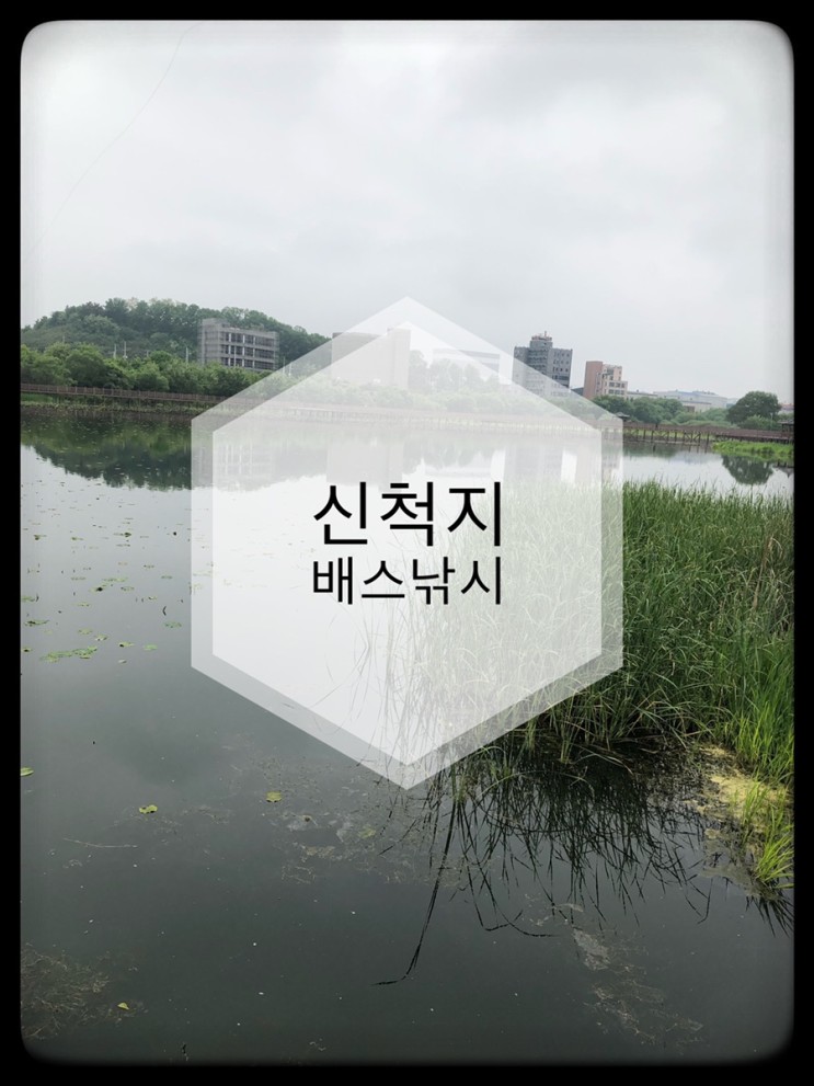 [충북]진천 신척지 배스낚시!리벤지?!(feat.밤당,라순)
