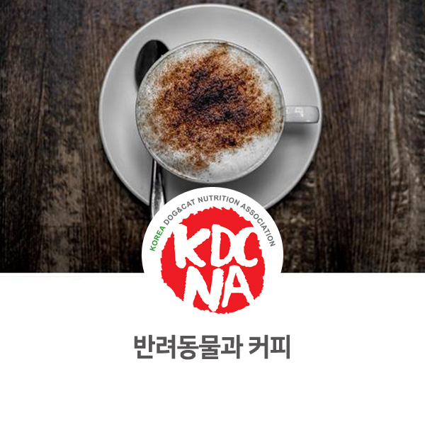  [강아지 고양이 음식 정보] 반려동물 커피 주의사항과 퍼푸치노 만들기_532