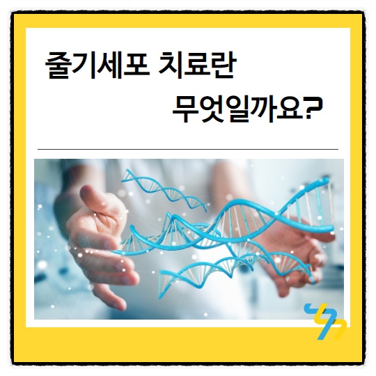  줄기세포치료란 무엇일까요?