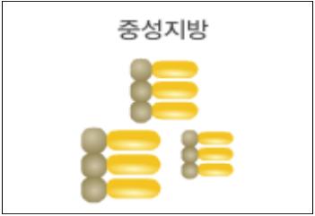  중성지방이란 그리고 중성지방 수치가 뭔가요?