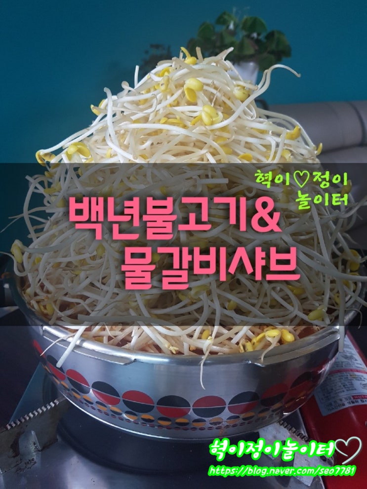 배달의 민족으로 주문해 본 백 년 불고기&물갈비 샤브