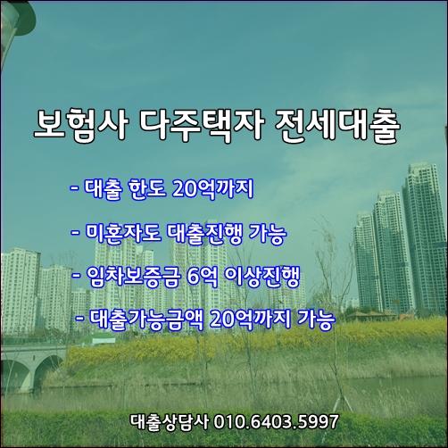 보험사 다주택자 전세자금대출 진행 상품안내