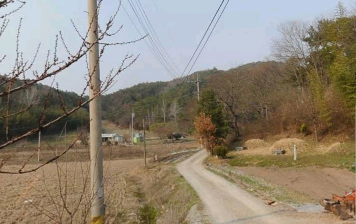 석교제 사진 6