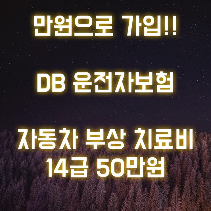  자동차 사고 부상 치료비 50만 원을 만 원대로 준비할 수 있는 DB 운전자 보험!!
