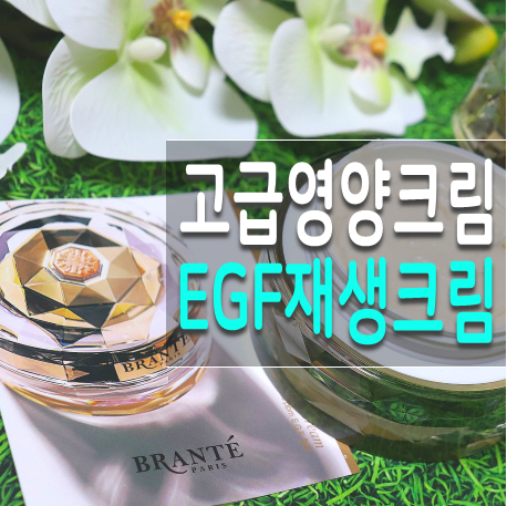  프리미엄 EGF재생크림 럭셔리한 브랑떼 화장품