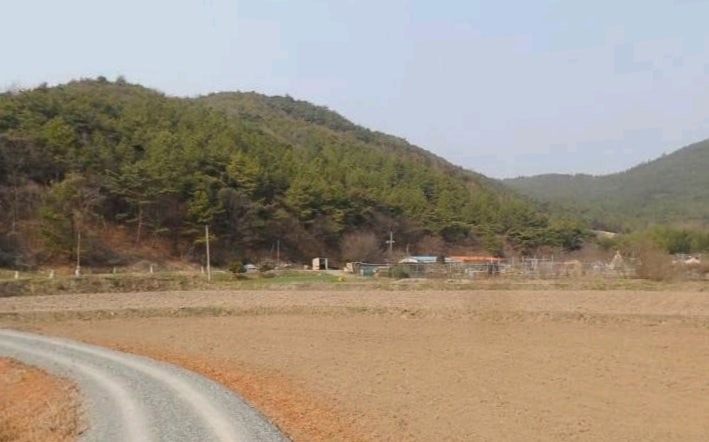 석교제 사진 5