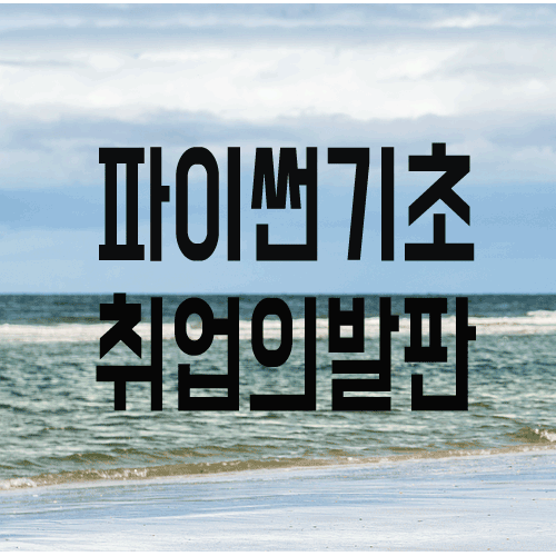 파이썬기초 : 성공적인 취업의 발판