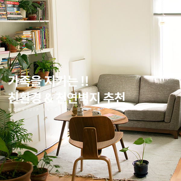  [우리집인테리어디자인 자재 9] 친환경 벽지 추천! 가족을 지키는 친환경 & 천연벽지 종류 (에덴바이오, 나무플러스, 에어푸르트 등)