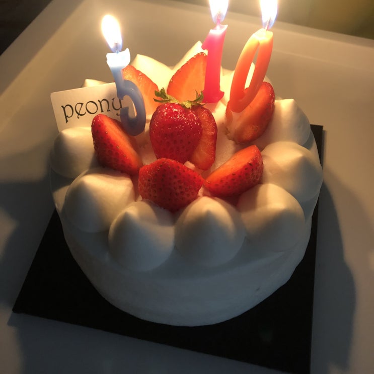  2020. 05. 09. Sat_ 5월 둘째주 주말 일상, 고급오복수산, 식물관PH, 그리고 생일 전야제