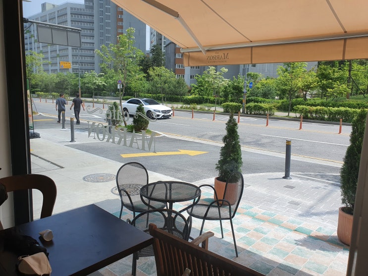 새단장 마론 새단장 마론