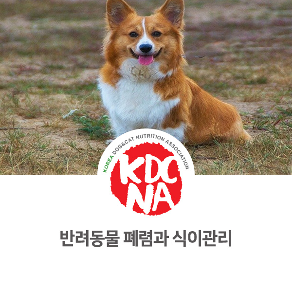  [반려동물 영양 정보] 강아지 고양이 호흡기 폐렴과 식이관리_541