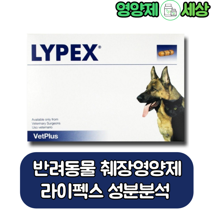 강아지 췌장염 고양이 췌장염 라이펙스 소화보조제 퀄리티  좋네요.