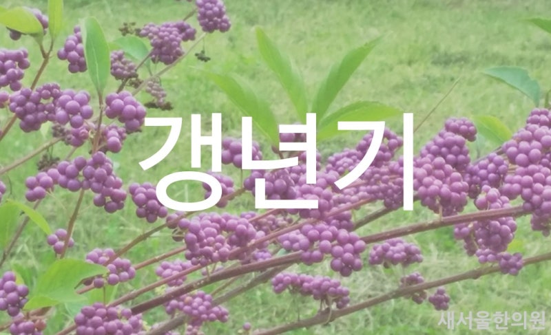 갱년기증후군 일상에 지장 받을 정도,
