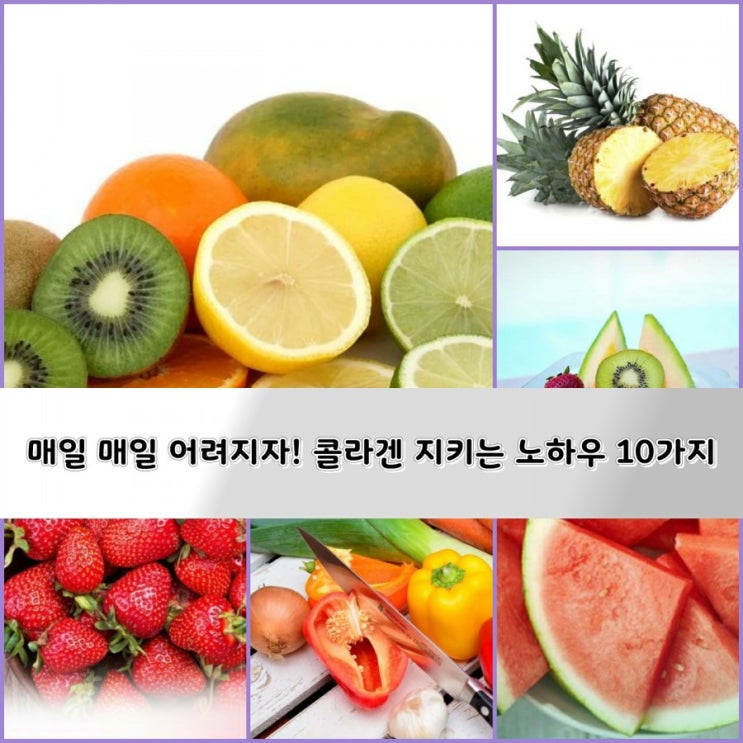 매일 매일 어려지자! 콜라겐 지키는 노하우 10가지 매일 매일 어려지자! 콜라겐 지키는 노하우 10가지