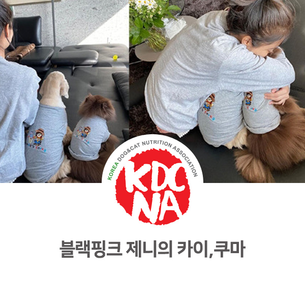 [연예인 강아지 고양이] 블랙핑크 제니 반려견 카이와 쿠마 이야기_542