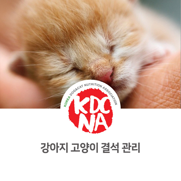  [반려동물 식재료 정보] 강아지 고양이 결석과 식이관리 음식_537