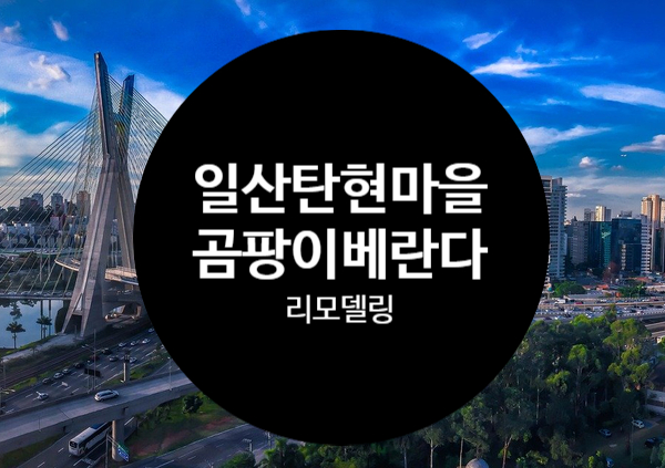  일산 탄현마을5단지 베란다곰팡이리모델링 시공후기