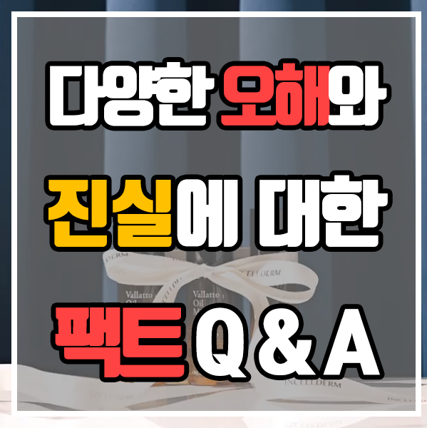  인셀덤 - 다양한 오해와 진실에 대한 Q&A