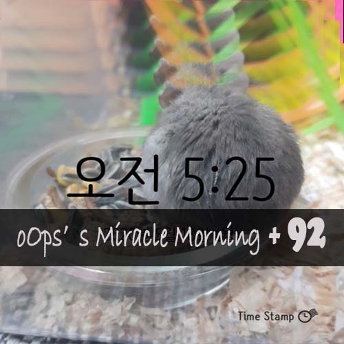  [M+92 미라클모닝] 지속할 수 있는 힘, 미라클모닝 습관 만들기