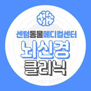  강아지 고양이 뇌신경 전문 동물병원