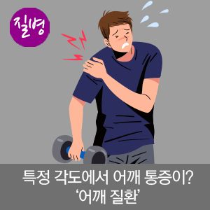 바디팰리스짐 이미지