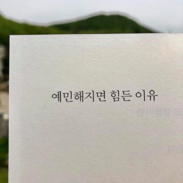  쿠쿠의 현자타임  예민한 성격탓에, 지친 나.. 자책하는 나에게