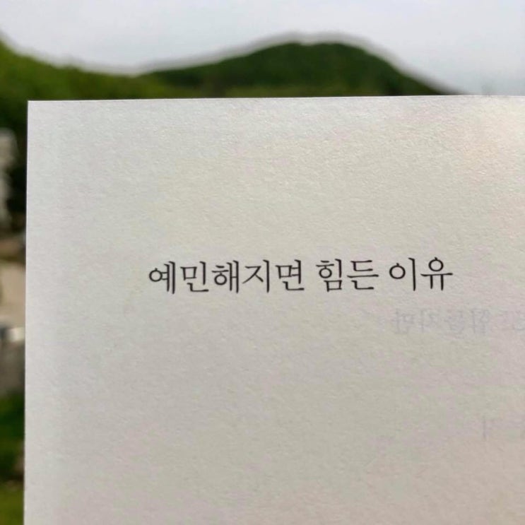 쿠쿠의 현자타임  예민한 성격탓에, 지친 나.. 자책하는 나에게