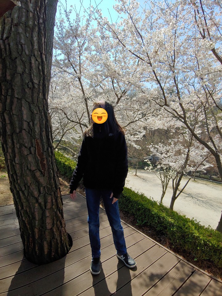 어묵김밥-벚꽃보러 집앞 나들이