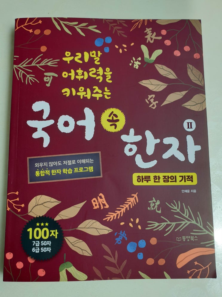  우리말 어휘력을 키워주는 국어 속 한자로 초등한자 홈스쿨링해요~