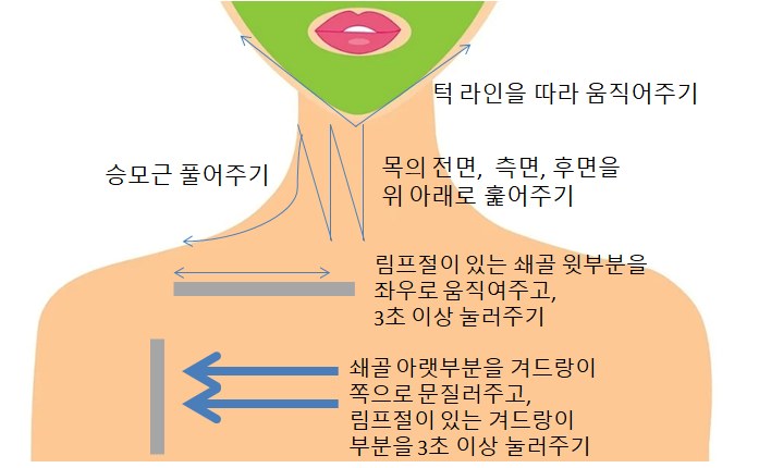  [캐나다 밴쿠버 뉴스킨] 페이스갈바닉 활용법. 바디쉐이핑젤 + 트리트먼트 4번 으로 바디라인+림프관리