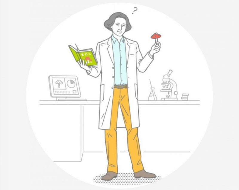 일본 사이트 Mbti를 해봤다 Intp 논리적인 사색가 전문가특징 네이버 블로그