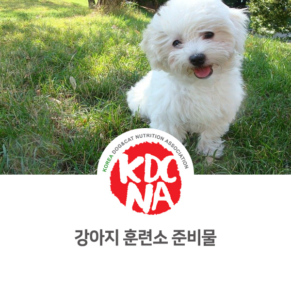  [반려인이 알아두면 유용한 정보] 강아지 훈련소 입소 준비물_544
