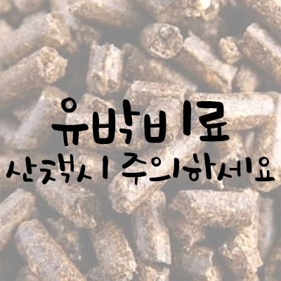 유박비료 강아지 산책 시 조심하세요 유박비료 강아지 산책 시 조심하세요