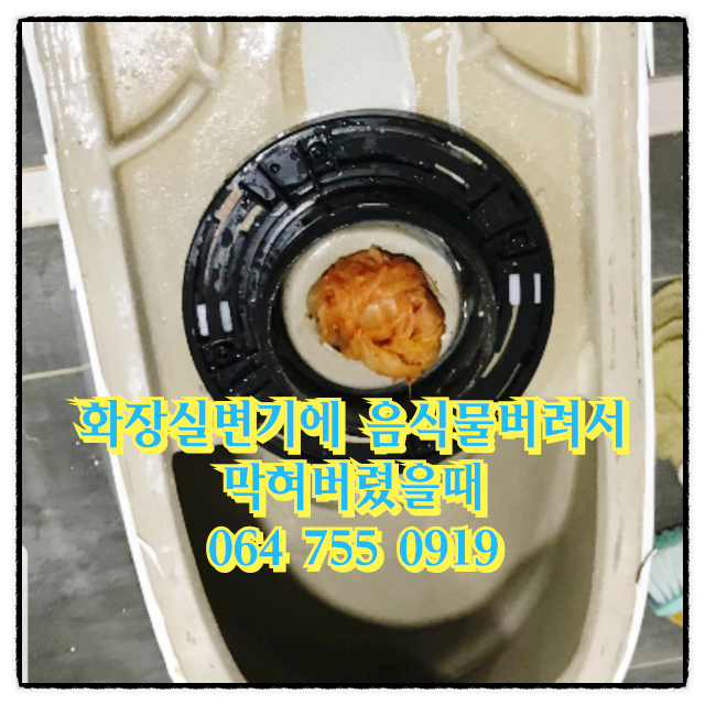  제주화장실변기에음식물버려서막혀버렸을때 뚫음한 현장