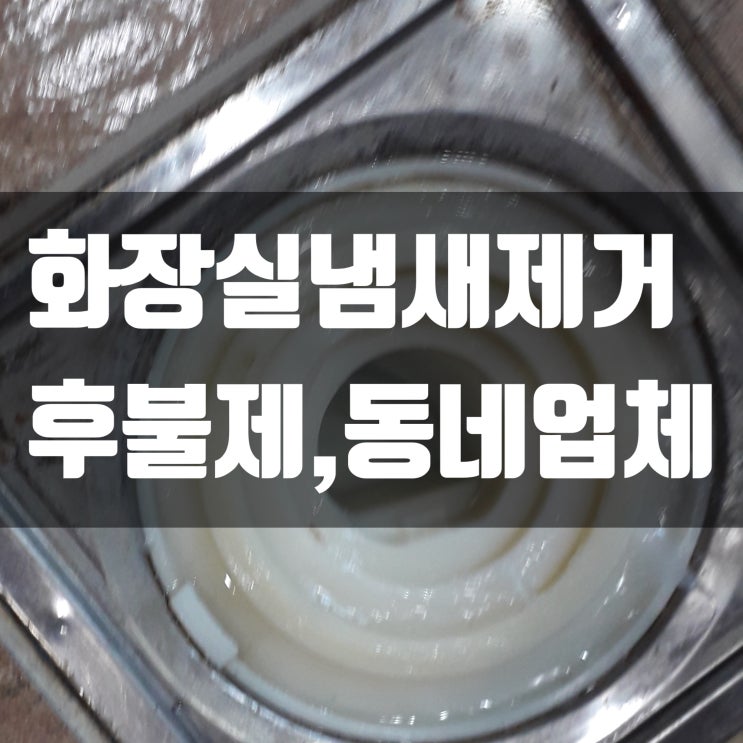  구미 화장실냄새제거  성공 했어요!!