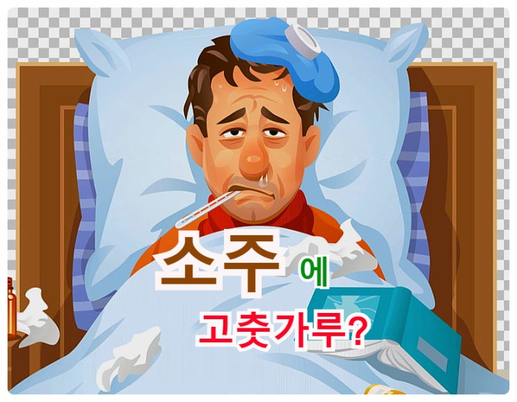  소주에 고춧가루가 감기약이 될까?    달콤한 설탕이 당뇨병의 주범?