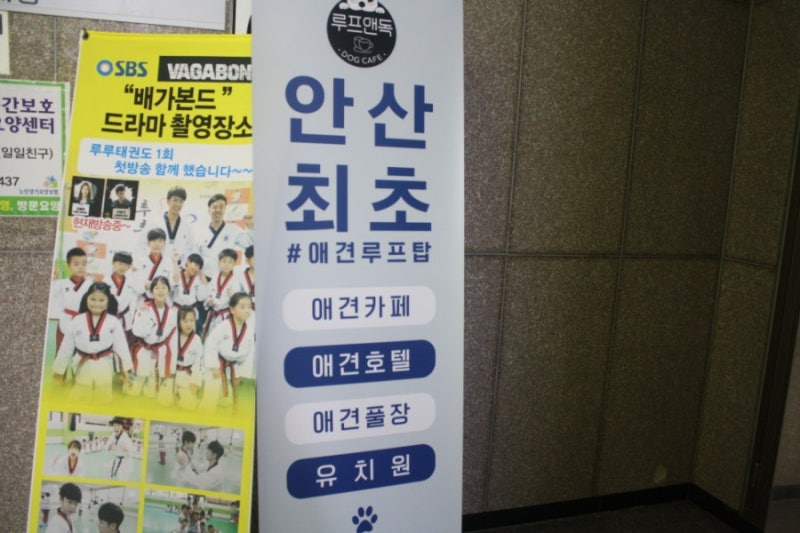 사진 2